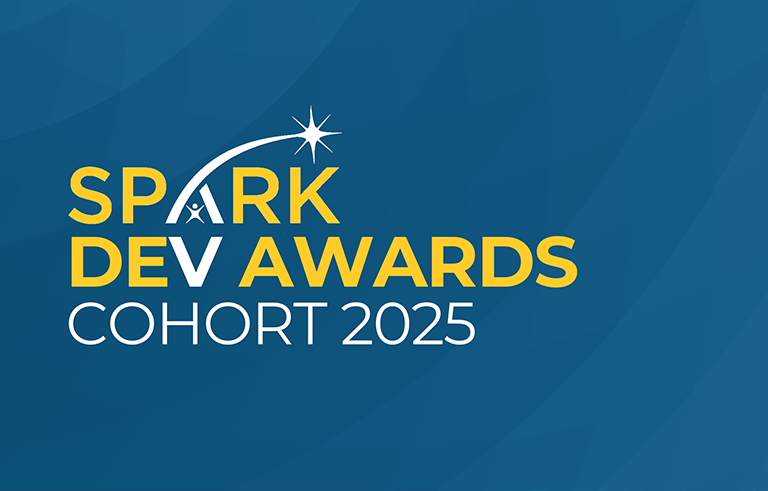 SPARK Dev awards Cohort 2025